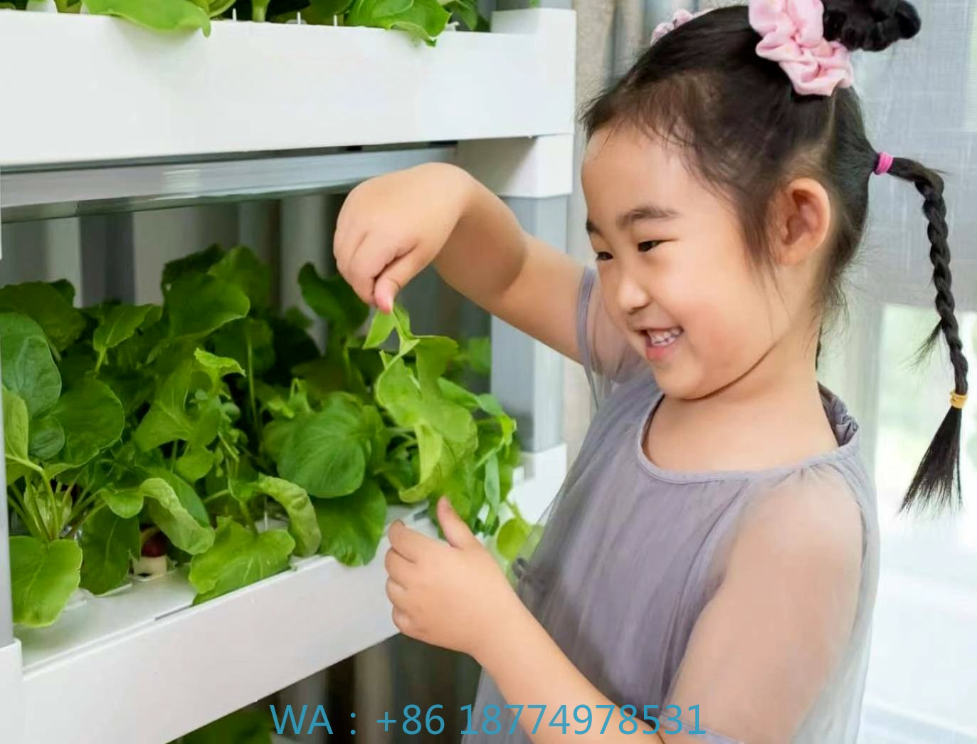 nt China Hydrokultur Grow Box  - Home Automation Systems Diy incelemesi ve fiyatı