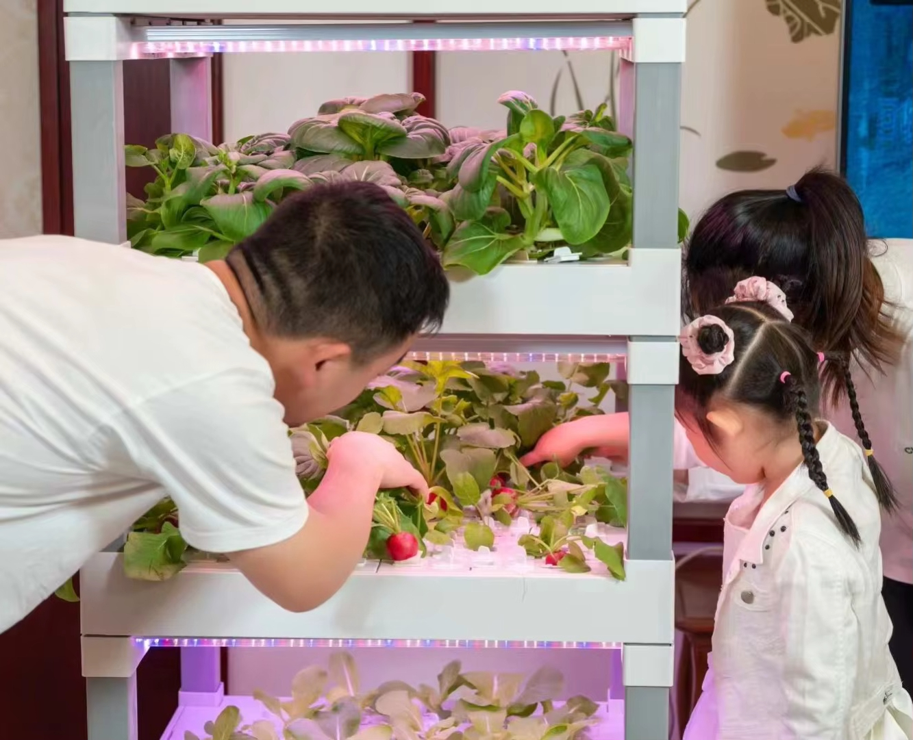 nt China Hydrokultur Grow Box  - Home Automation Systems Diy incelemesi ve fiyatı