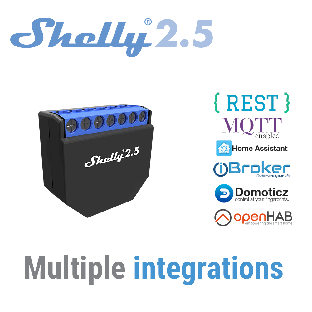 Shelly 2.5 Smart Home Double R - Shelly Relay Module incelemesi ve fiyatı