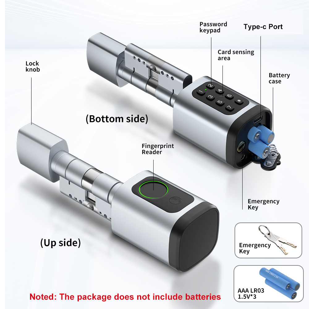 RAYKUBE V1 Tuya BLE TT Lock Sm - Home Automation System Diy incelemesi ve fiyatı