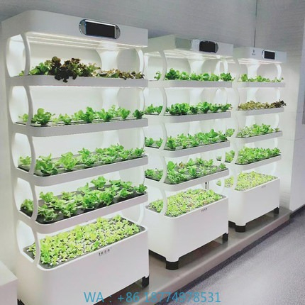 Iydroponic Automated Grow Syst - Home Automation Systems Diy incelemesi ve fiyatı