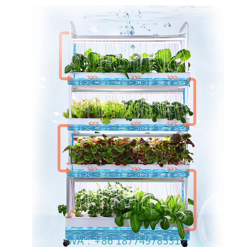 ydroponic Planting System Smar - Diy Automation incelemesi ve fiyatı