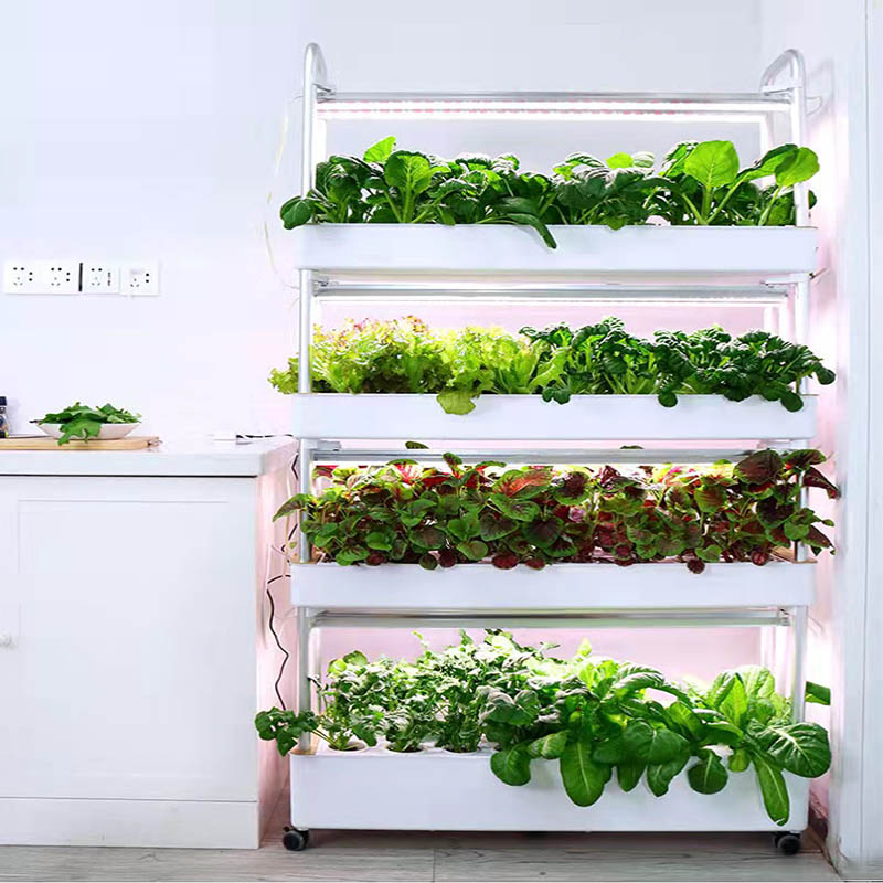 ydroponic Planting System Smar - Diy Automation incelemesi ve fiyatı