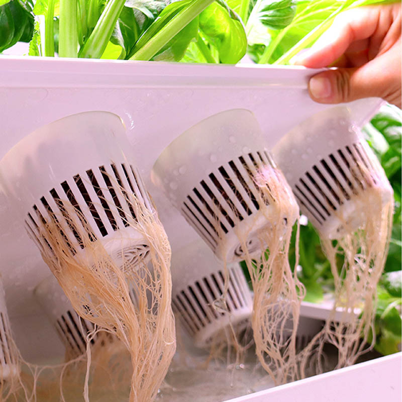 ydroponic Planting System Smar - Diy Automation incelemesi ve fiyatı