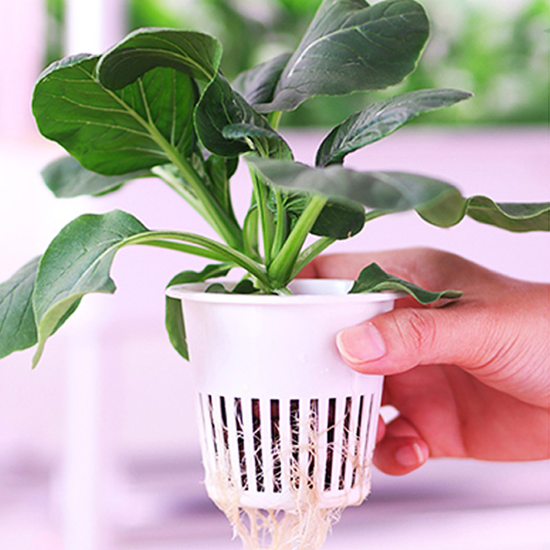 ydroponic Planting System Smar - Diy Automation incelemesi ve fiyatı