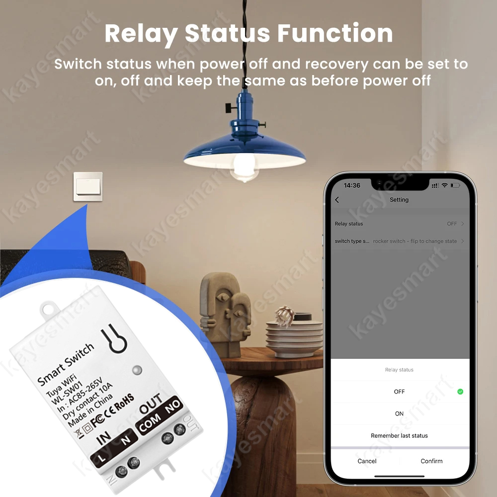 Tuya WiFi Smart Switch Module  - Home Automation Diy incelemesi ve fiyatı