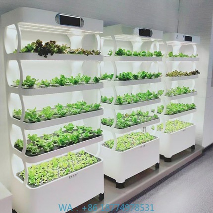 Hydroponic Automated Grow Syst - Diy Automation incelemesi ve fiyatı